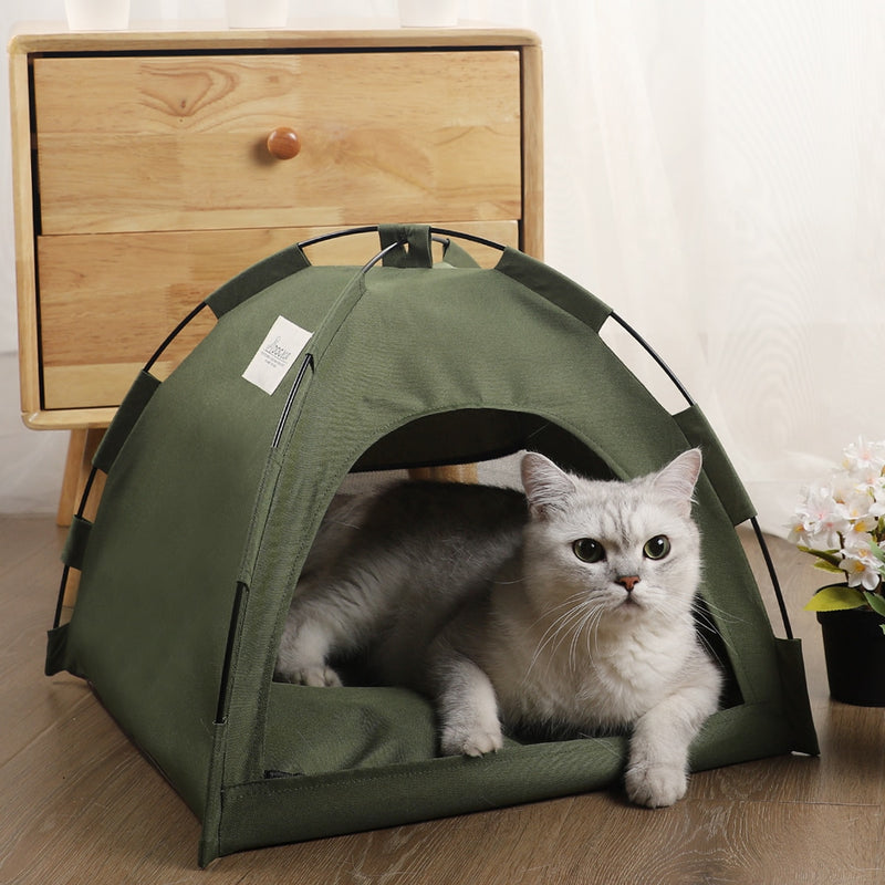 Cat Tent House