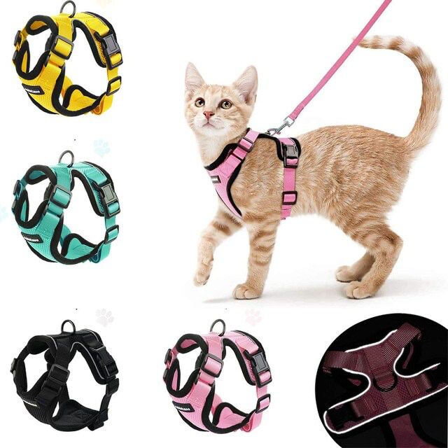 Cat Harness And Leash