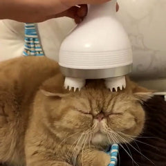 Electric Cats Massager