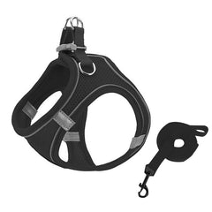 Cat Harness And Leash